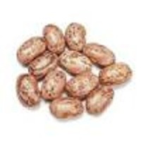 Pinto Beans